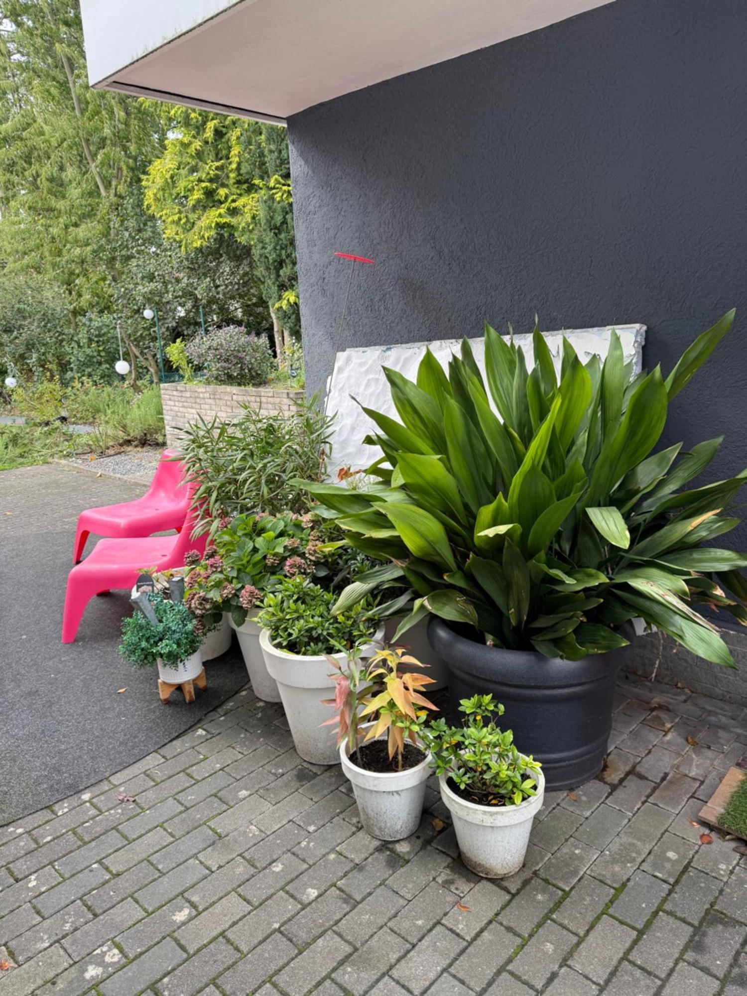Modernes 1 Zimmerapartment Nahe Frankfurt Am Main Heusenstamm Dış mekan fotoğraf